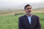 افزایش ۱۰ درصدی تولید برنج در مازندران