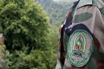 جنگلبانان بی دفاع