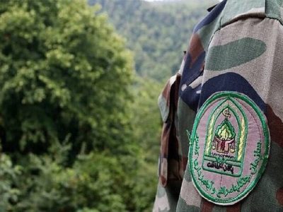 جنگلبانان بی دفاع