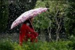 قدم زدن زمین های چالوس زیر باران