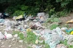داستان ساماندهی زباله‌های جنگل گلوگاه