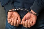 کشف ۱۲ فقره سرقت منزل و باغ در نکا