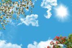 پیش بینی هوای مازندران صاف تا نیمه ابری همراه با افزایش دما