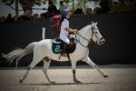 “فریاد خاموش اسب کاسپین: آیا به موقع به صدای آن پاسخ خواهیم داد؟”