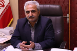 پایان خرید تضمینی برگ سبز چای در گیلان و مازندران