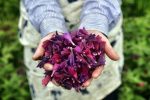 طلای سبز، آینده مبهم