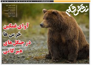 پنجم آذر
