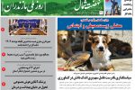 پانزدهم آبان