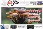 بیست و هفتم آبان