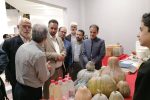 نکوداشت شاعرِ انقلاب در تنکابن