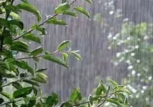 هوای مازندران نیمه ابری در ارتفاعات غربی ابری و بارندگی