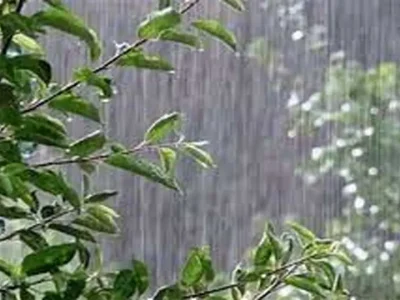 هوای مازندران نیمه ابری در ارتفاعات غربی ابری و بارندگی