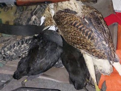 کشف وضبط ۸۰ قبضه سلاح شکاری در مازندران