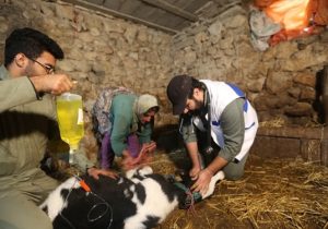 ارائه بیش از ۳۵ هزار خدمت به دامداران مناطق محروم گلوگاه