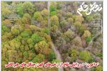 بیست و دوم آذر