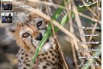 بیست و پنجم آذر
