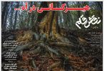 بیست و پنجم آذر