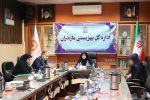 کمیته بررسی پرونده های متقاضیان فرزند خواندگی