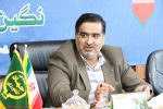 صادرات ۸ هزار تن کیوی مازندران به کشورهای اوراسیا و هند