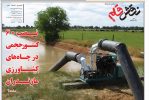 سیزدهم دی