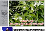 یازدهم اسفند