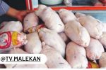 ادامه این روند به تولید پایدار مرغ می‌انجامد