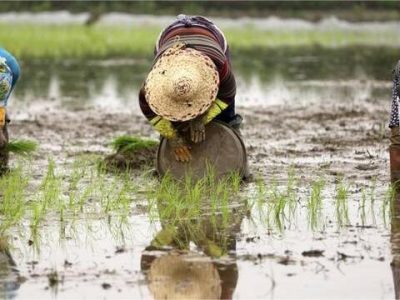 فریب کوتاه‌مدت یا فاجعه بلندمدت