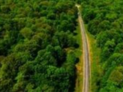 انقلاب در پایش هوایی برای نجات هیرکانی