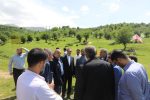 از زمین‌خواری تا جنگل‌تراشی