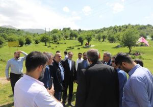 از زمین‌خواری تا جنگل‌تراشی