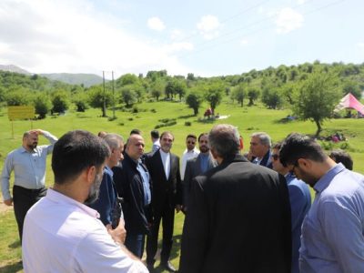 از زمین‌خواری تا جنگل‌تراشی