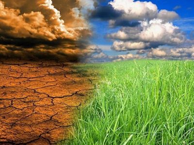 تغییرات اقلیمی چالش فراروی کشاورزی مازندران است