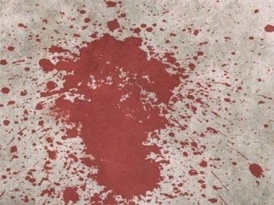 نه یی که به مرگ ختم شد 