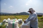 تجارت تقلب‌کارانه و چالشی بزرگ برای کشاورزی مازندران