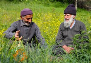 میراثی در آستانه فراموشی