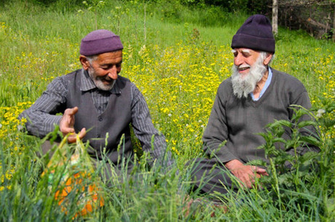 میراثی در آستانه فراموشی