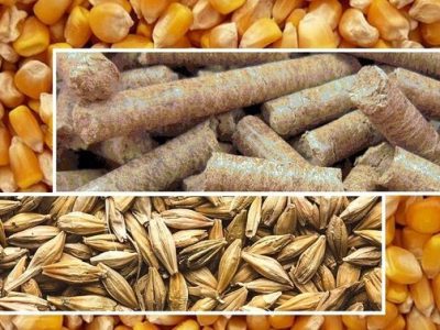 برخورد قانونی با متخلفان توزیع نهاده‌های دامی در مازندران