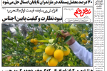 روزنامه نقش قلم ۳۱ شهریور ۱۴۰۴