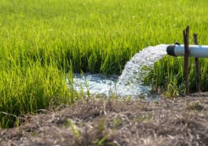 آیا مجوز چاه‌های کم‌عمق، زنگ خطر تازه برای رودخانه‌هاست؟