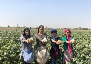 نساجی سنتی و پنبه‌های خودرنگ گلستان، موتور محرک صادرات غیر نفتی