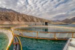 پرورش متراکم ماهی بدون نیاز به تعویض آب در مازندران
