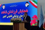 تولید کیت‌هایی که جهان را شگفت‌زده کرد