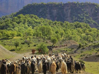  مخالف انحلال سازمان امور عشایر هستیم
