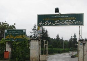 گنجینه‌ای سبز در دل هیرکانی