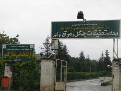گنجینه‌ای سبز در دل هیرکانی