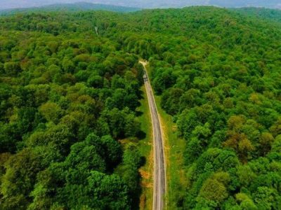 پاس گل به قاچاقچیان چوب یا توسعه‌گری بی‌ضابطه؟