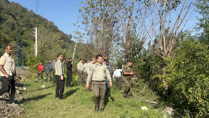 روایت یک صبح خاکستری در هچیرود