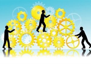 تعاونی‌ها با تسهیلات جدید، آماده ورود به بازارهای ملی و صادراتی