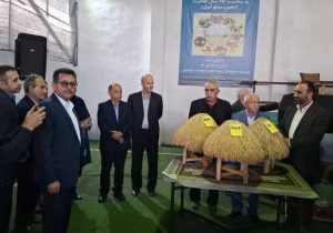 سه بذر جدید برنج در آمل رونمایی شد