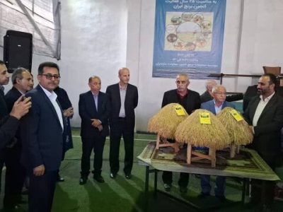 سه بذر جدید برنج در آمل رونمایی شد